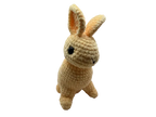 Coniglietto Amigurumi