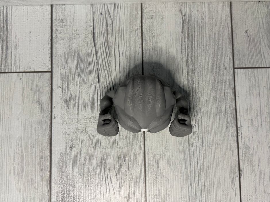 074. Geodude Fusionball Fanart