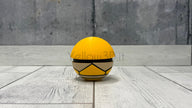 014. Kakuna Fusionball Fanart