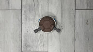 009. Blastoise Fusionball Fanart